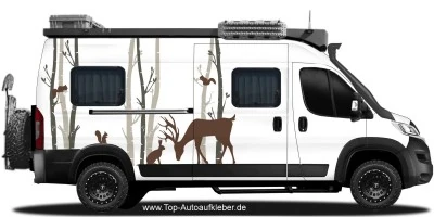 Camperaufkleber Birkenwald auf hellem Campervan