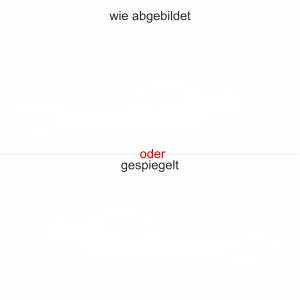 Heckscheibendekor Schwimmen