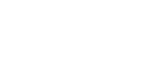 Heckscheibentattoo Tiger Tribal