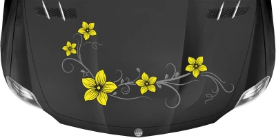 Motorhaubenaufkleber Blumenranke auf dunkler Motorhaube