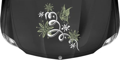 Bunter Motorhaubenaufkleber mit Ranke und Schmetterling