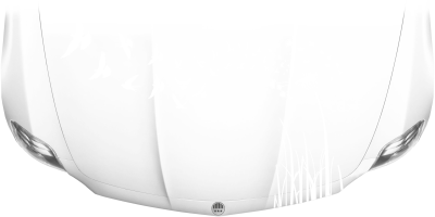 Motorhaubenaufkleber Pusteblume mit Vogelschwarm