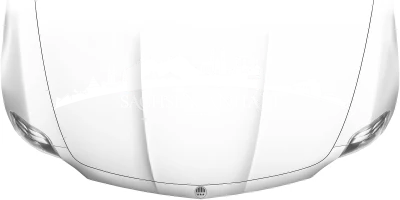 Motorhaubenaufkleber Skyline Sachsen-Anhalt auf heller Motorhaube - Ansicht Farbauswahl