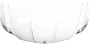 Motorhaubendekor Skyline Düsseldorf