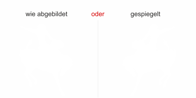 Rodeo Motorhauben Aufkleber