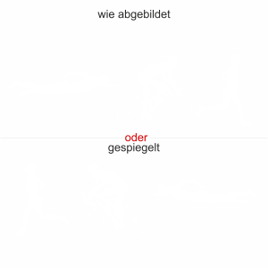 Triathlonaufkleber Heckscheibe