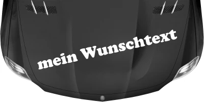 Wohnmobilaufkleber Wunschtext | 21