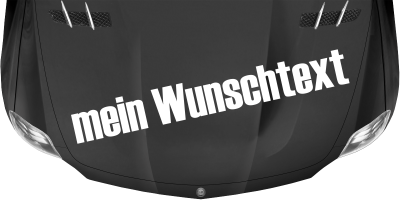 Wohnmobilaufkleber Wunschtext | 28